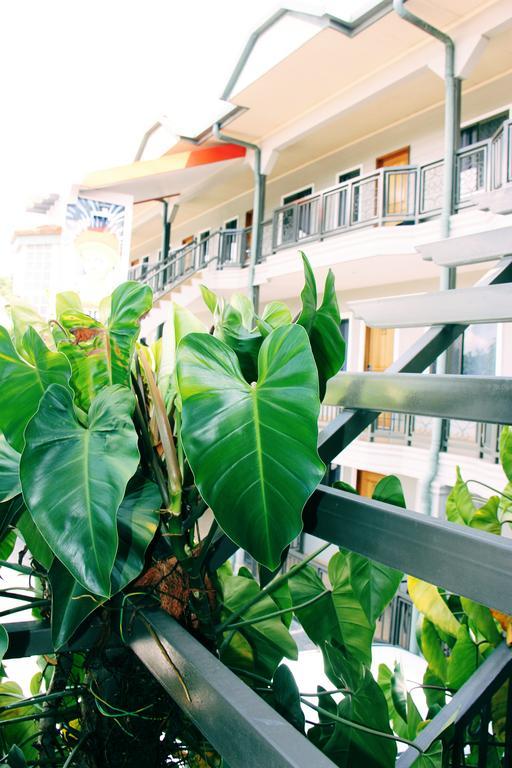 Citi Serviced Apartments And Motel - Korobosea Boroko Esterno foto